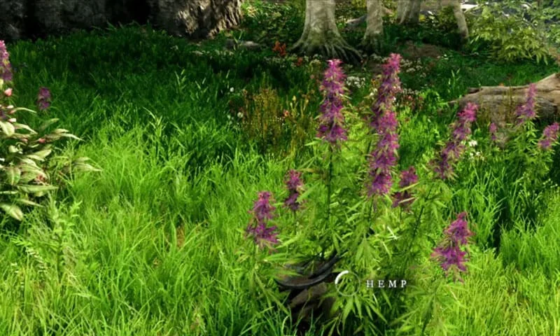 New World Leveling Guide For New Players - hemp