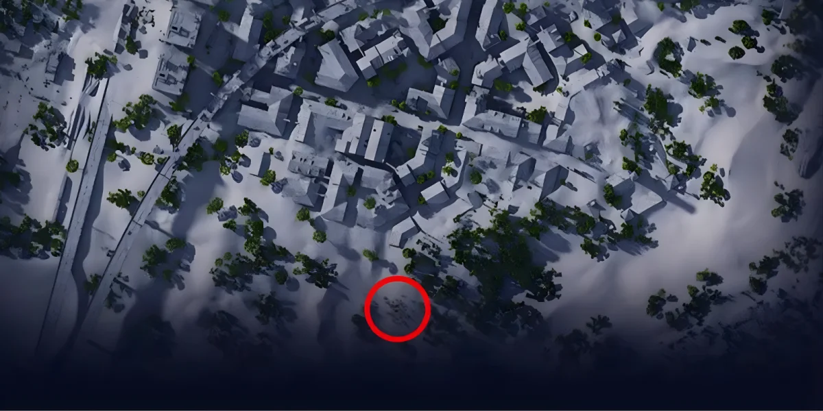 Southern cactus patch in Buried City