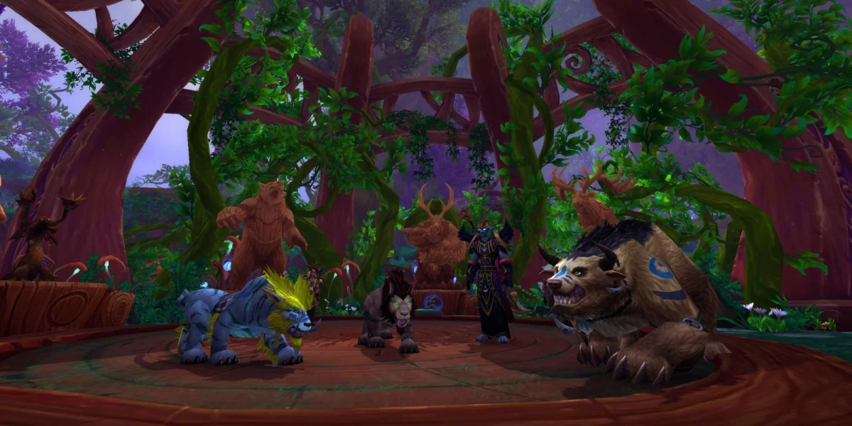 Druid Tank in TBC Dungeon