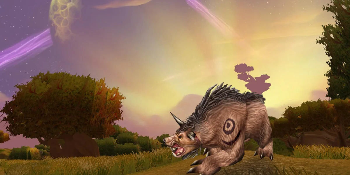 Feral Druid in TBC Raid