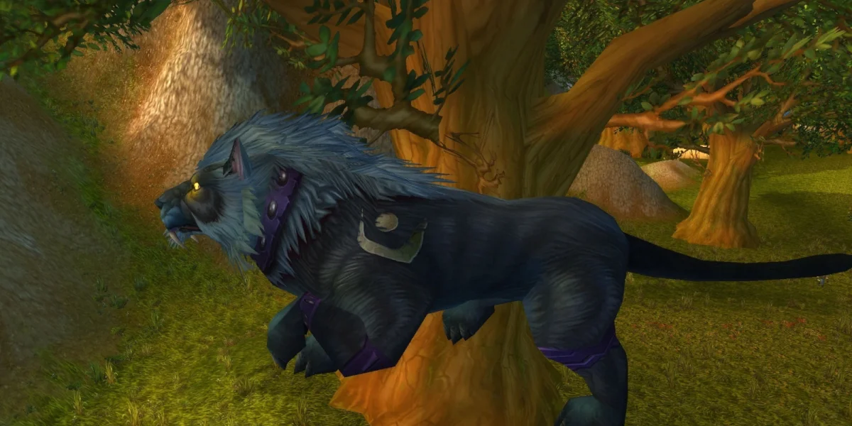 Feral Druid Cat Form DPS