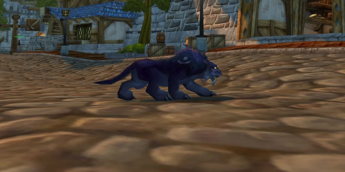 Feral Druid Cat Form in TBC