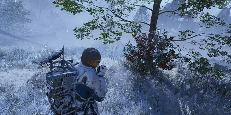 Candleberry Source Priority