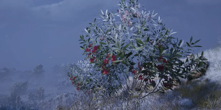 ARC Raiders Candleberry Bush Locations