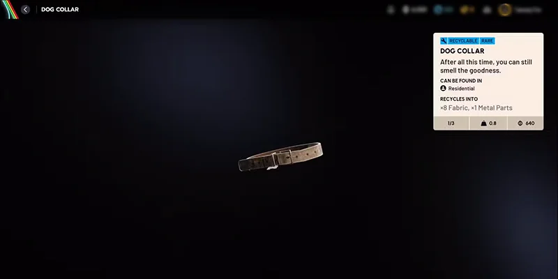 Dog Collar rare item in inventory