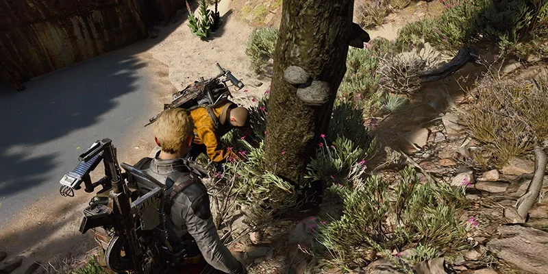 Mushrooms growing on trees in the swamp area