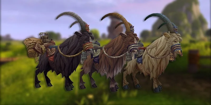 Tillers goat mounts showcase