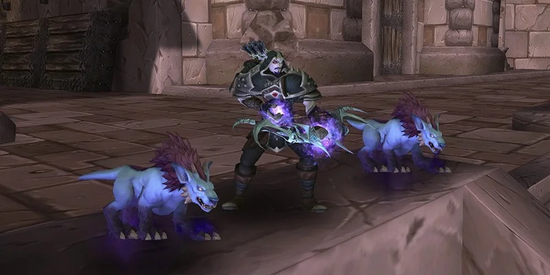 Beast Mastery Hunter with Pet