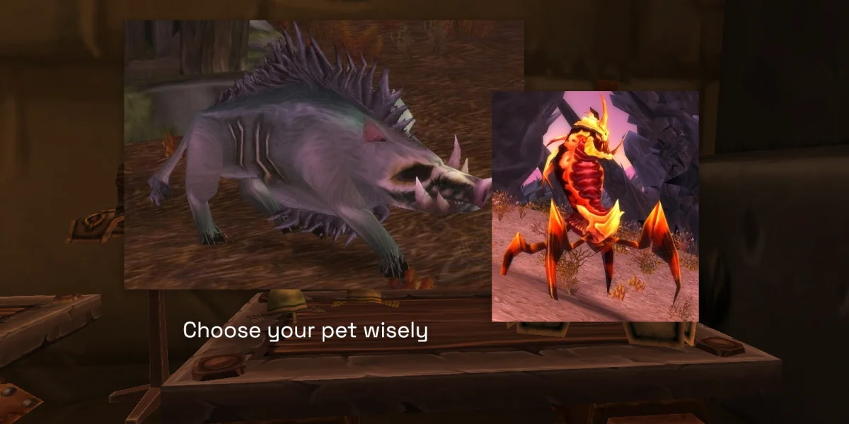 Hunter Pets TBC