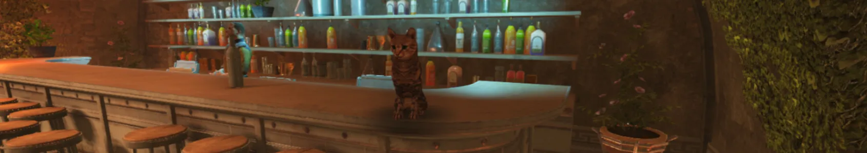 Destiny Rising Cat Haven Guide - Pet & Feed for Rewards