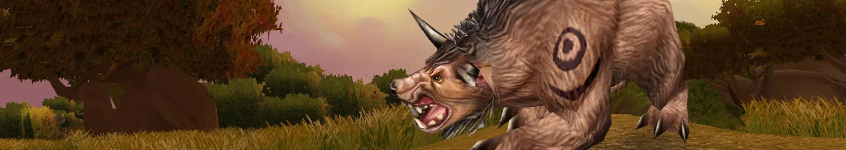 TBC Classic Feral Druid Tank Guide Complete Overview