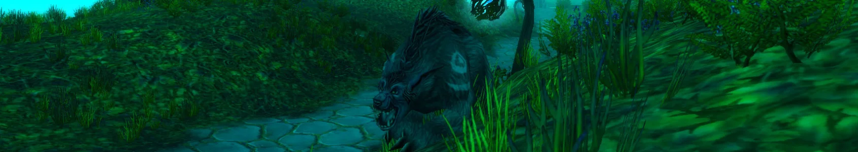 TBC Classic Feral Druid Tank Guide - Rotation & Abilities
