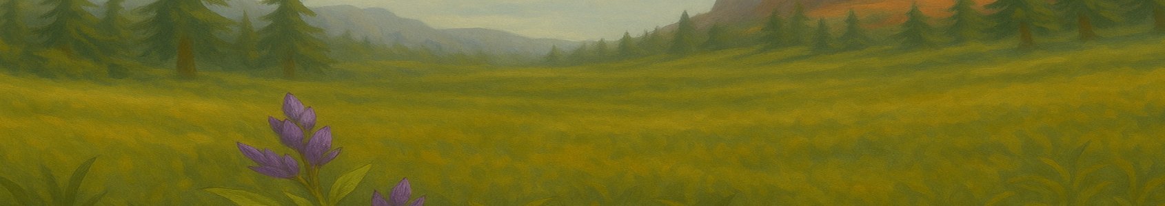 Classic WoW Herbalism 1-300 - Best Routes Guide