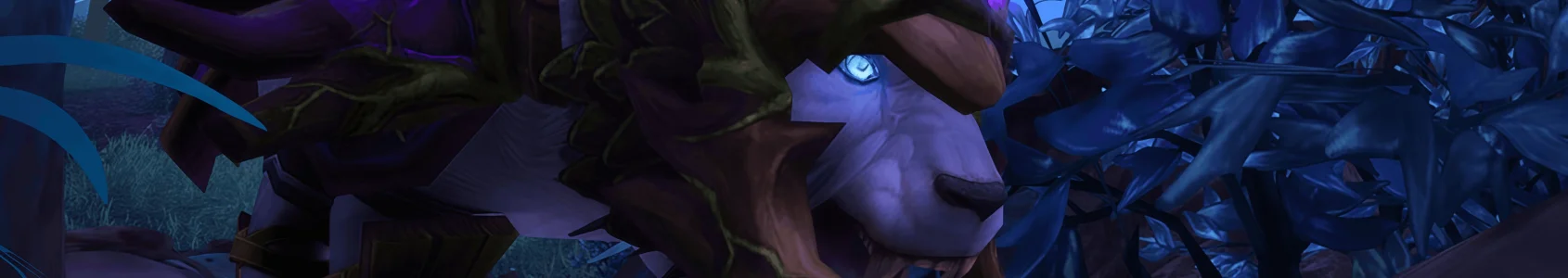 TBC Classic Feral Druid Tank Leveling Guide 1-70 & Talents