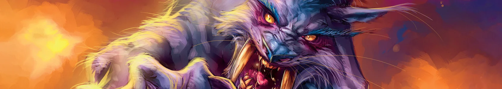 TBC Classic Feral Druid DPS BiS Gear Guide - All Phases