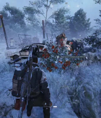 Arc Raiders Candleberry Farming Guide - Flickering Flames