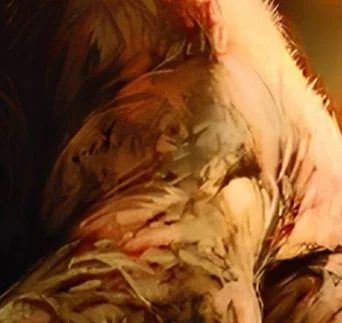 TBC Classic Feral Druid Leveling Guide 1-70 - Talents & Gear