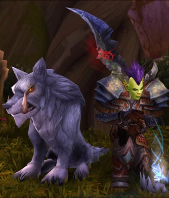 WoW TBC Classic Survival Hunter Leveling Guide 1-70