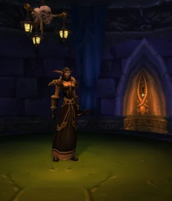 TBC Classic Survival Hunter Overview Complete Guide