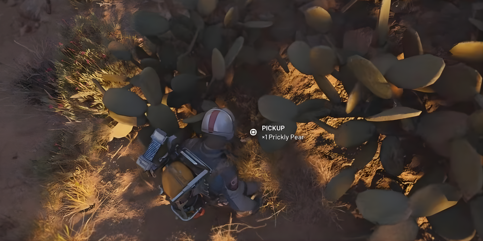 Prickly Pear spawning near cactus plant in Arc Raiders