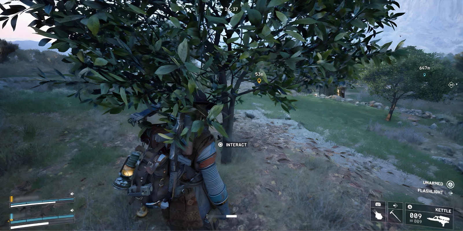 Fruit trees in natural environment