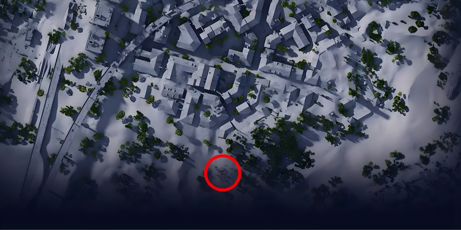 Southern cactus patch in Buried City