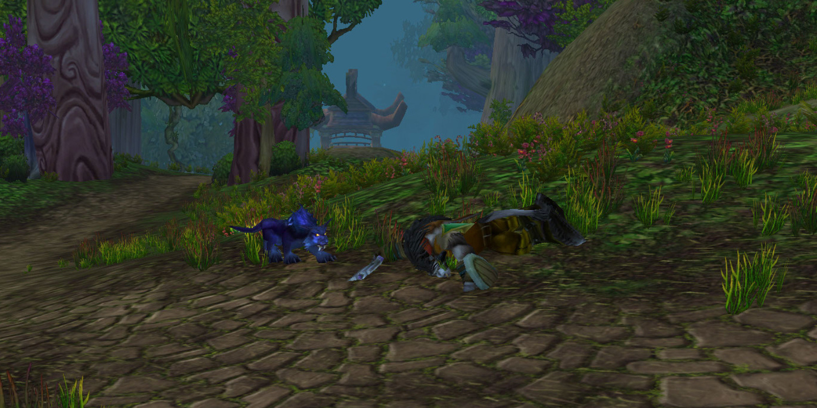 TBC Feral Druid in Cat Form