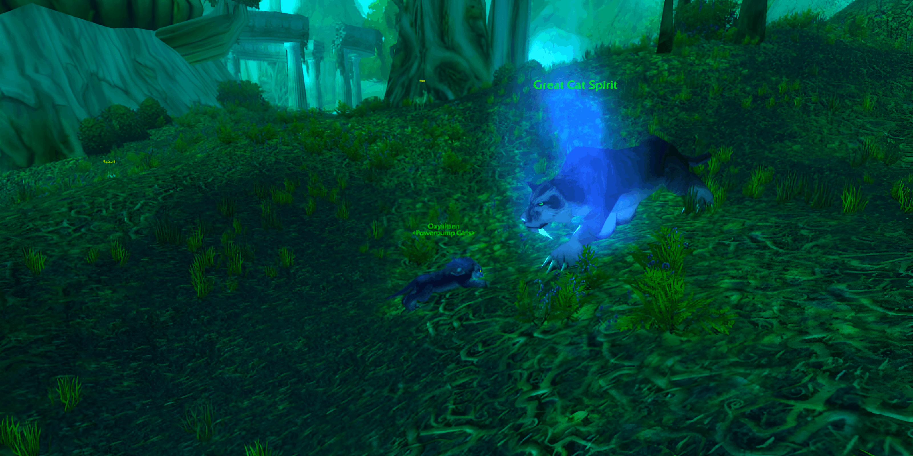 Feral Druid Powershifting