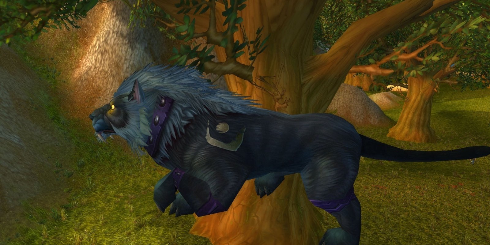 Feral Druid Cat Form DPS