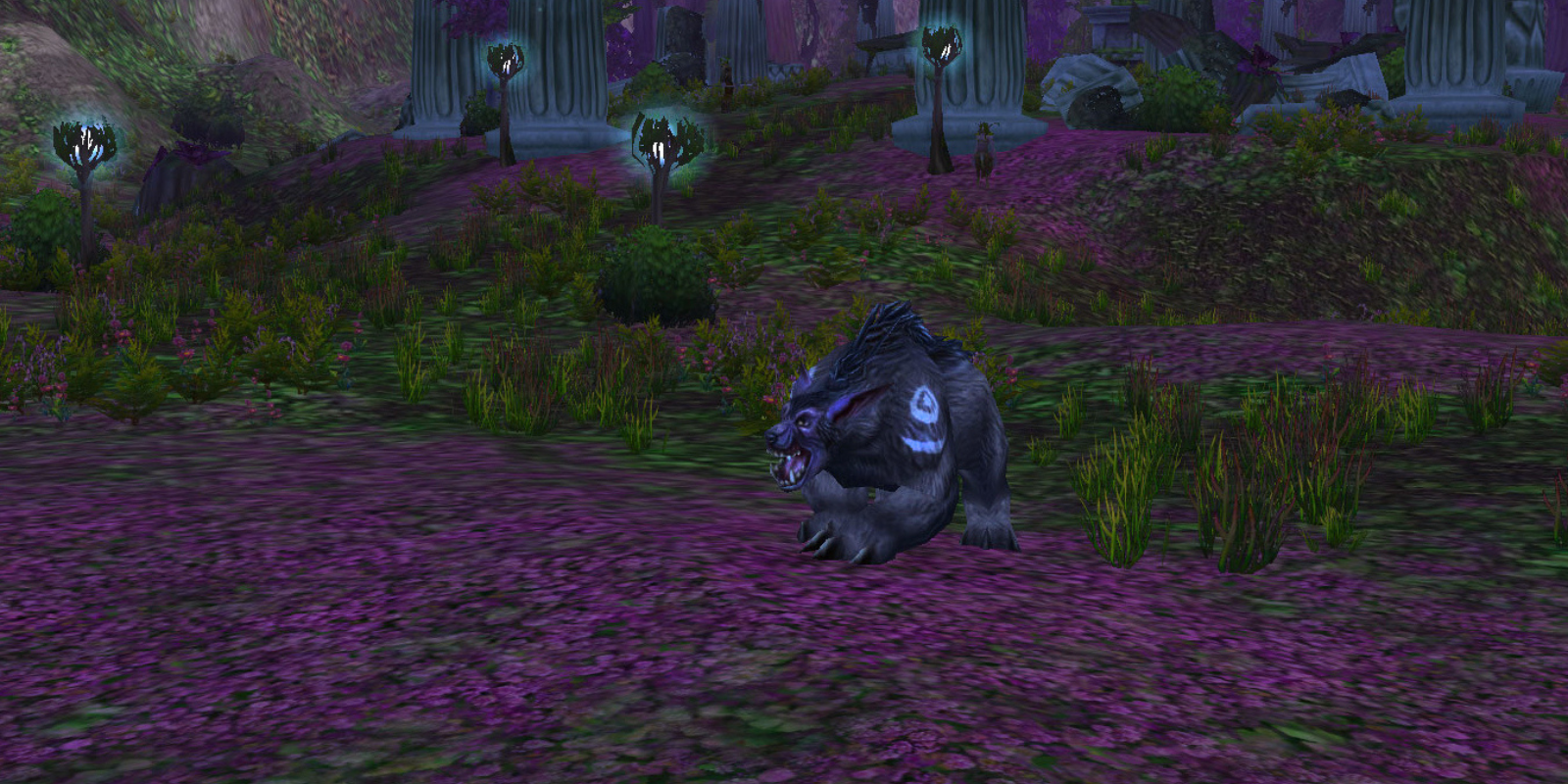 Feral Druid in TBC Raid