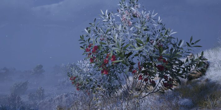 ARC Raiders Candleberry Bush Locations