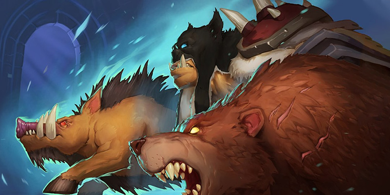 Beast Mastery Hunter with Pet