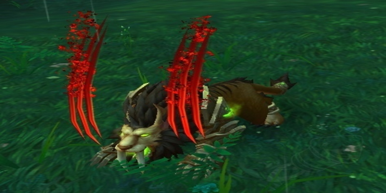 Feral Druid Rip damage over time ability