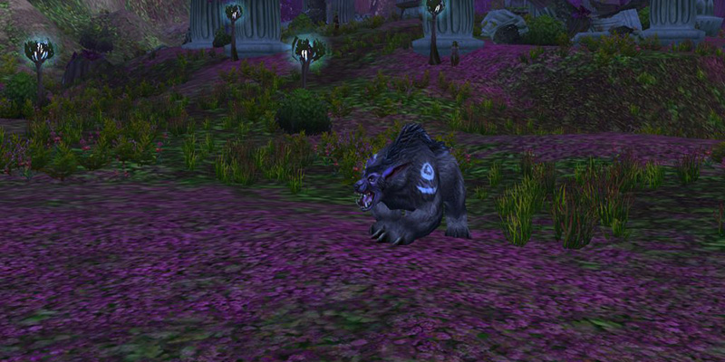 Feral Druid in Dire Bear Form
