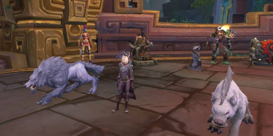 Hunter with Pet in TBC