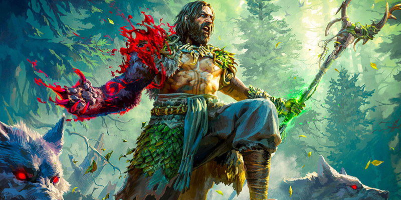 Path of Exile 2 Druid class transformations