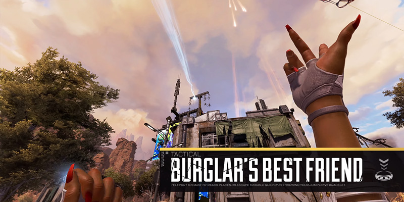 Burglar's Best Friend ability