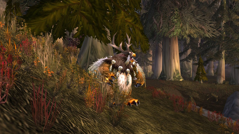Balance Druid casting in Moonkin Form
