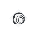 Guardian Shield