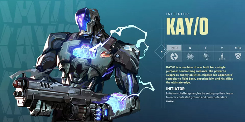 KAY/O Team Role