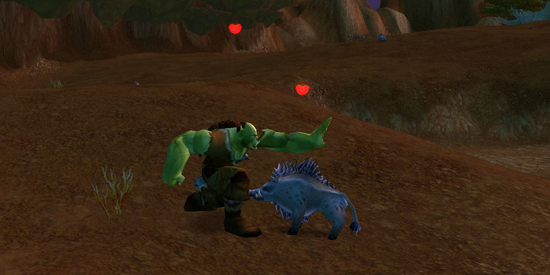 Hunter Pets Training