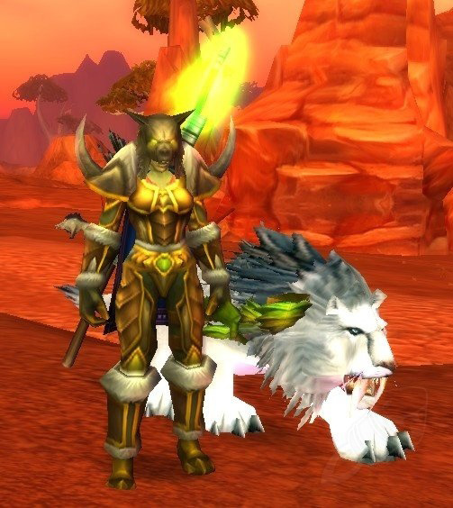 Hunter with pet in Hardcore mode