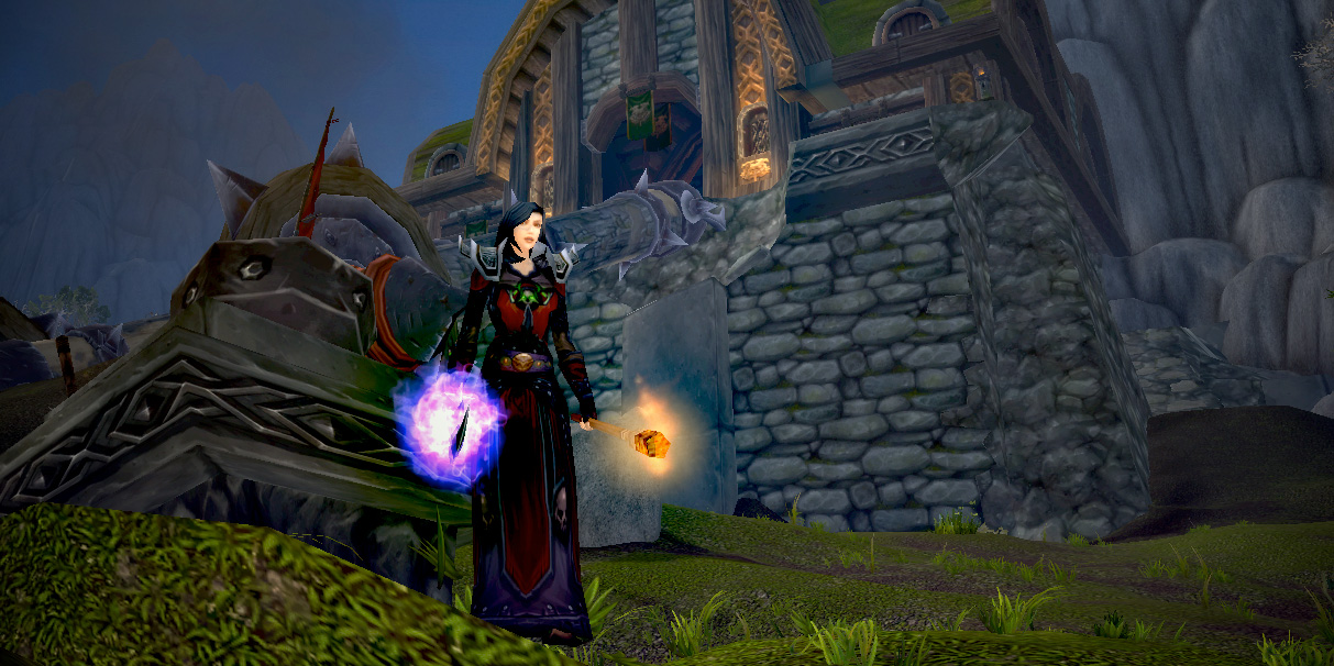 A Warlock in a raid