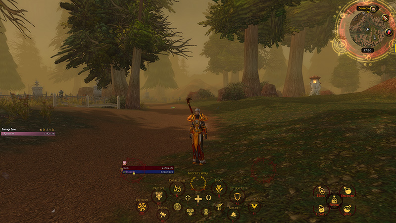 Paladin UI Setup